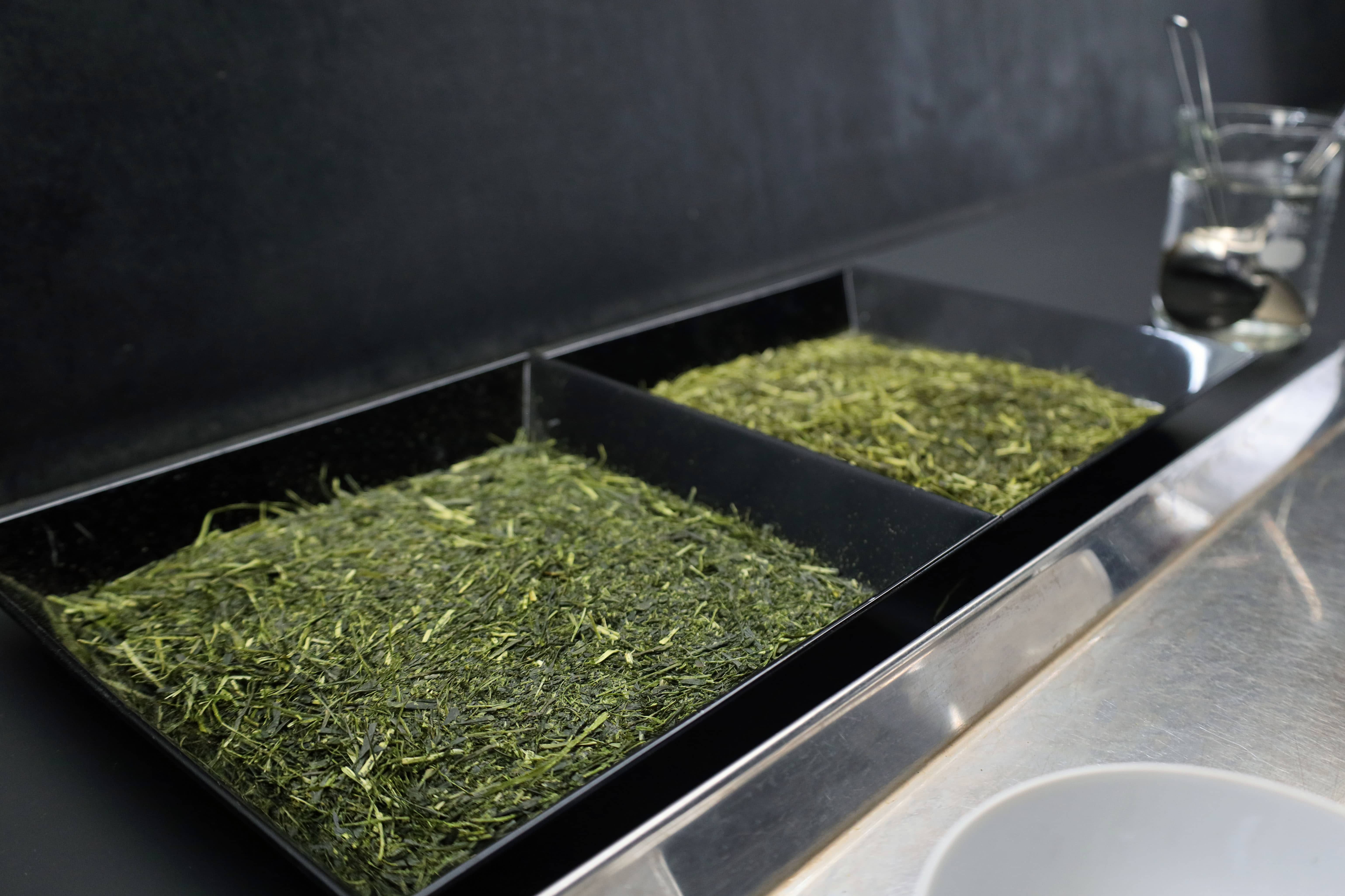 日本茶セミナー